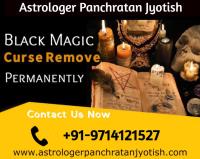 Astrologer in USA - Astrologer Panchratan Jyotish image 22